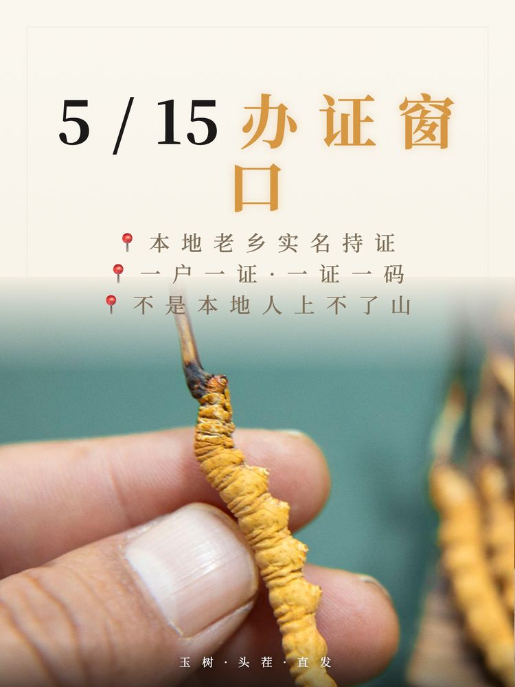 采挖凭证相关资料实景